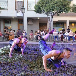 Festival GESTO Elephant in the Black Box 1 2020